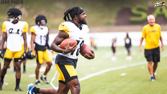 Steelers' Diontae Johnson Trying To Help Curb Stupid Penalties From Young Receivers "Act Like You've Been There Before" (Steelers News)